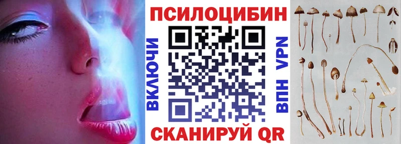 Псилоцибиновые грибы прущие грибы  купить  цена  MEGA ССЫЛКА  Камень-на-Оби 
