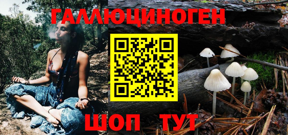 Галлюциногенные грибы Psilocybe  Вход с VPN  закладки  Камень-на-Оби 